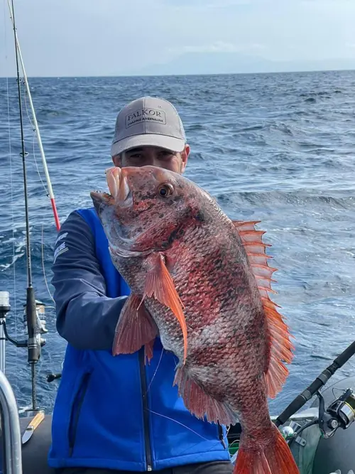 Angler in a cap holding a red porgy caught offshore during a fishing trip in Málaga