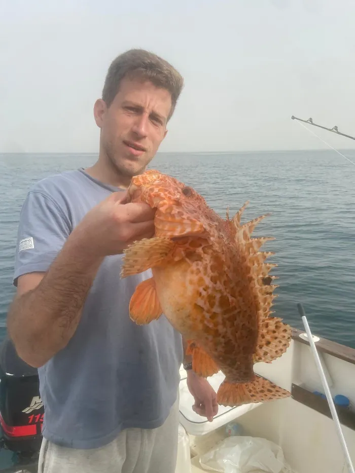 Angler holding a scorpionfish caught on a fishing trip in Málaga