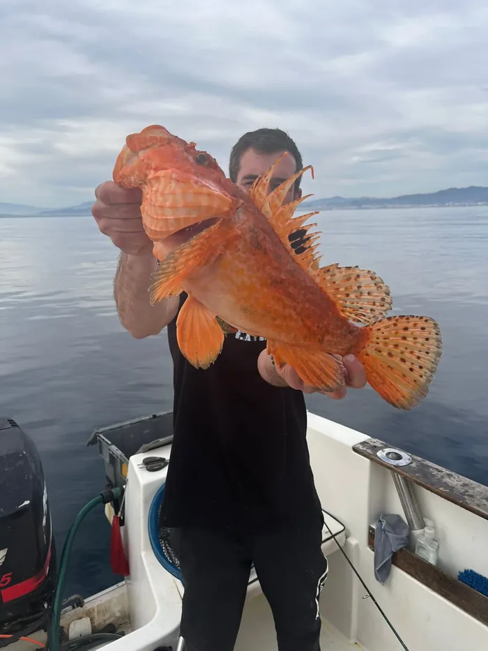 Angler holding a freshly caught scorpionfish on a fishing trip in Málaga