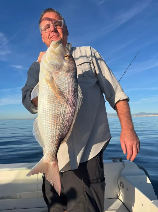 Angler holding a sea bream caught on a fishing trip in Málaga